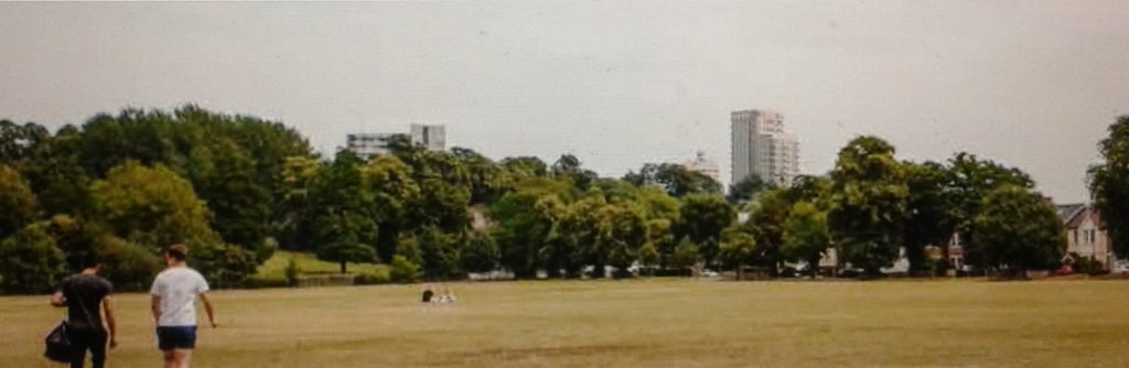 Grassy park with Churchill Theatre peeping over trees