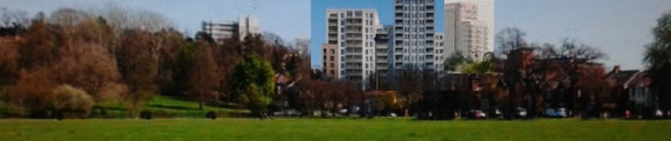 high rises tower above the trees