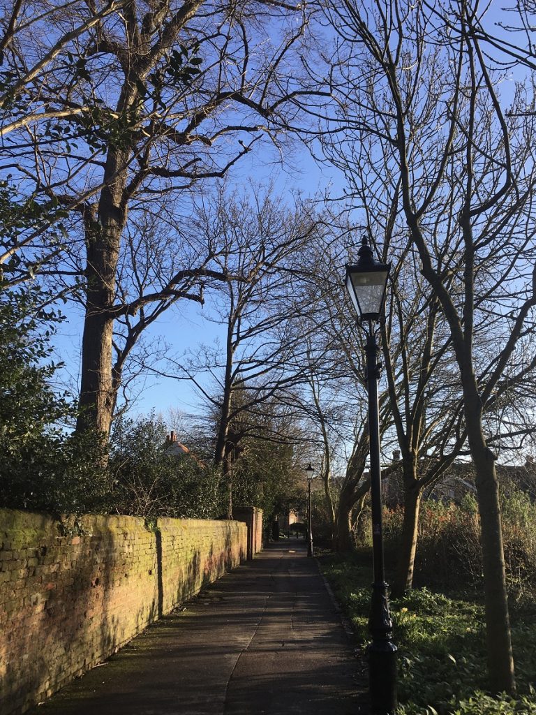 path with trees along wall