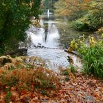 Bromley Palace Park – St Blaise’s Well.