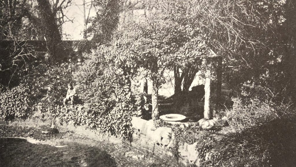 a somewhat overgrown pergola on the shores of a lake