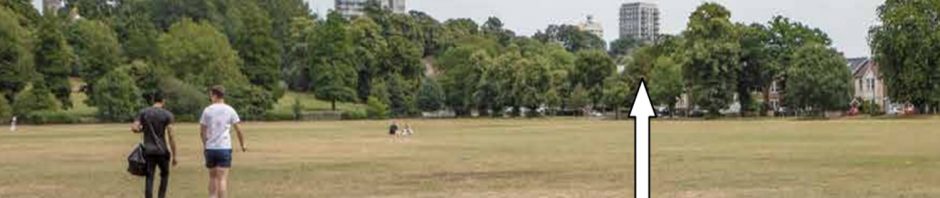 tower block over trees and park