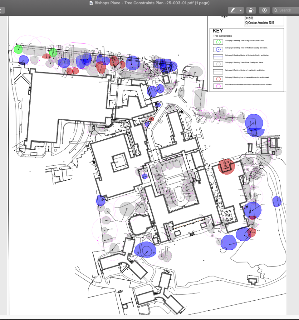 The plans for redeveloping the old civic centre site are now submitted, and the areas of concern include the State Rooms, courtyard ash trees, overshadowing of the park. 
